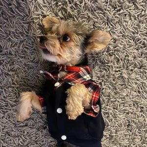 Meet your Posher, Jesse